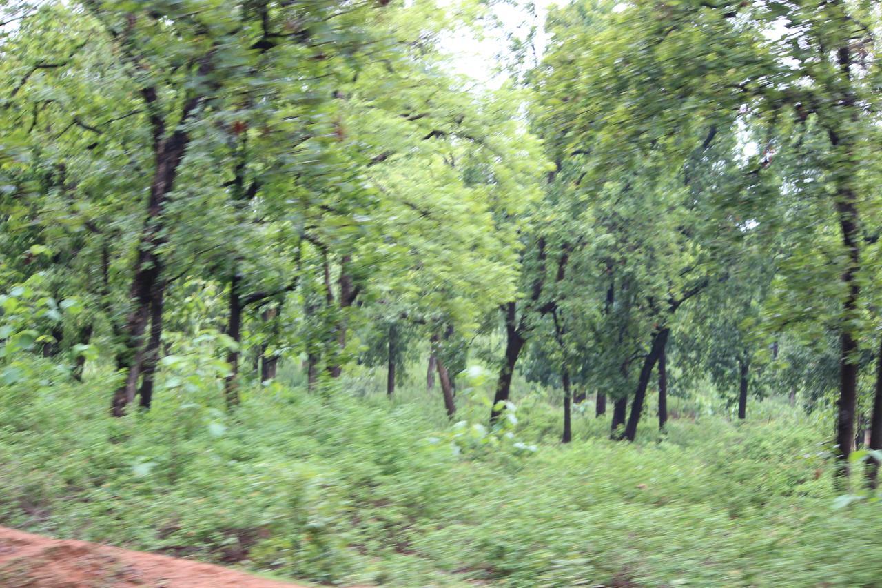 The Residency Bed & Breakfast Amarkantak Екстериор снимка